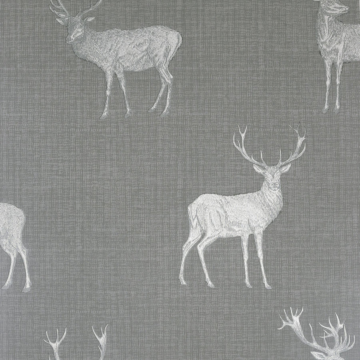York Hank Grey Stag Wallpaper