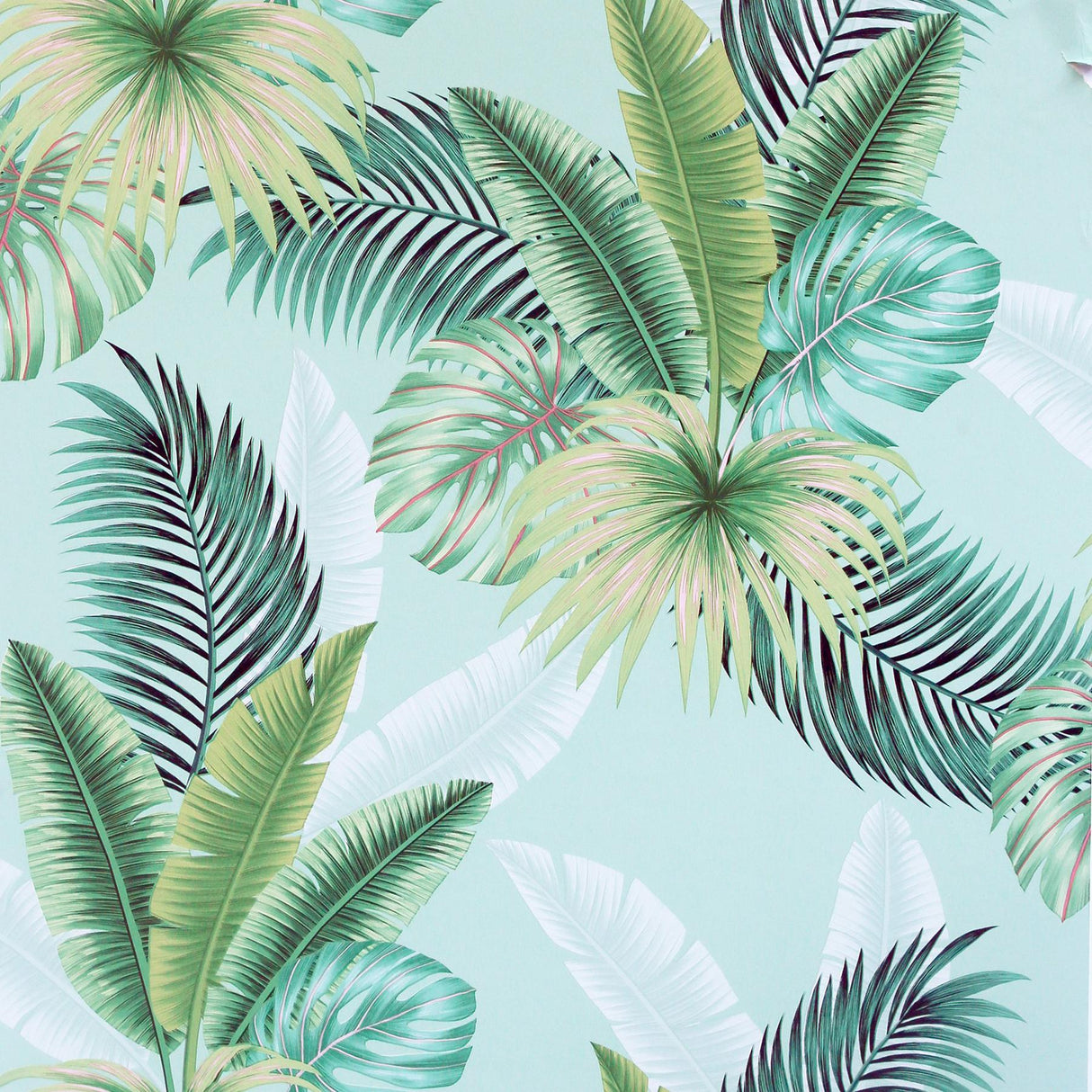 York Miami Mint Palms Wallpaper