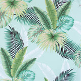 York Miami Mint Palms Wallpaper