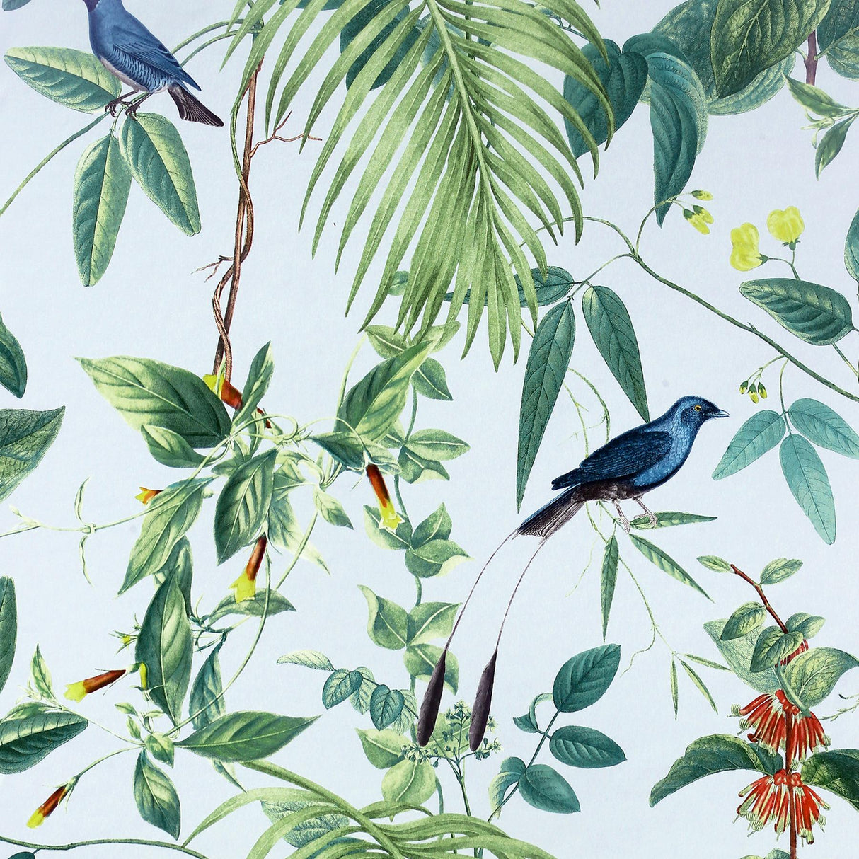 York Nanette Light Blue Tropical Garden Wallpaper