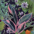 York Etta Navy Tropical Wallpaper