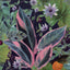 York Etta Navy Tropical Wallpaper