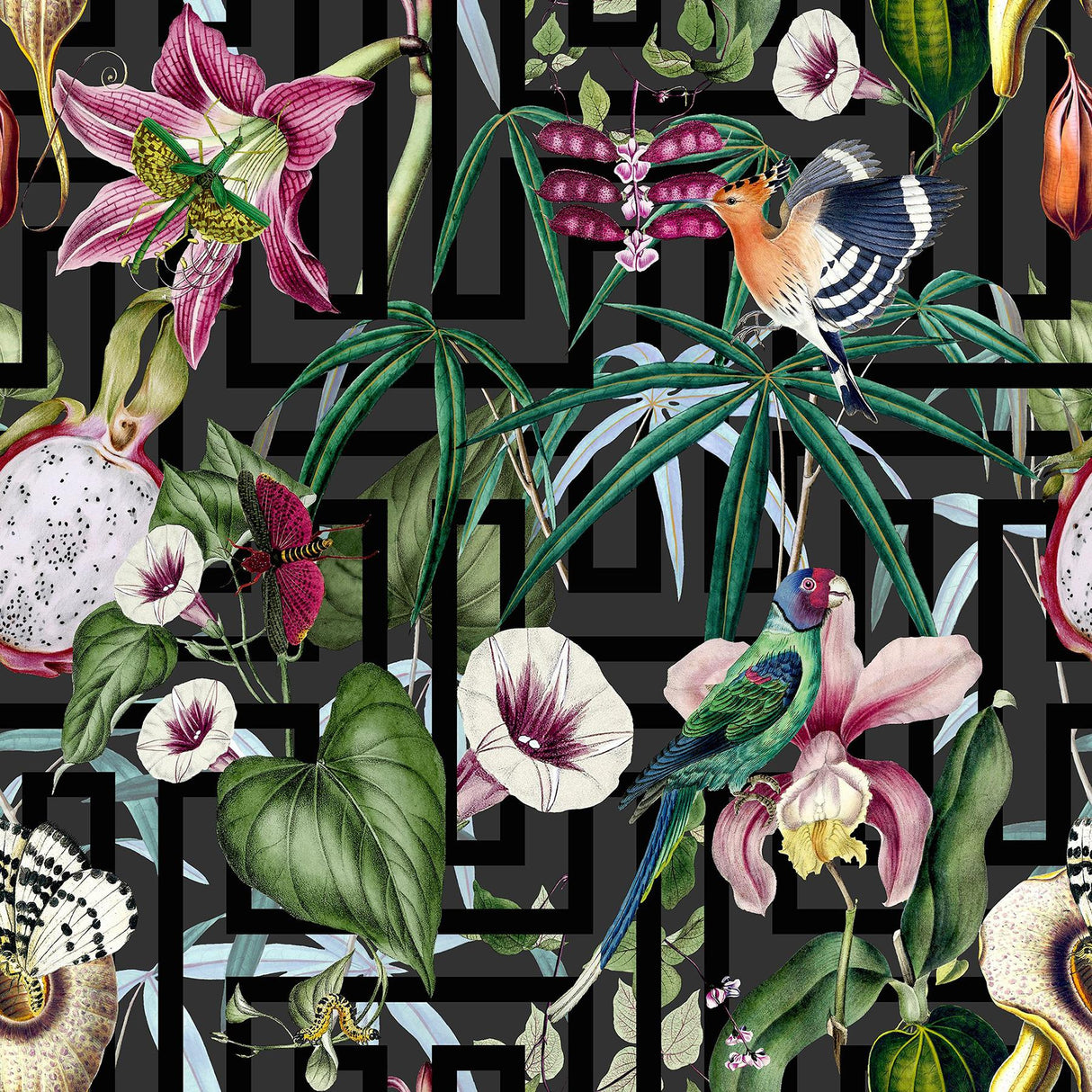 York Lucretia Multicolor Tropical Wallpaper