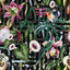 York Lucretia Multicolor Tropical Wallpaper