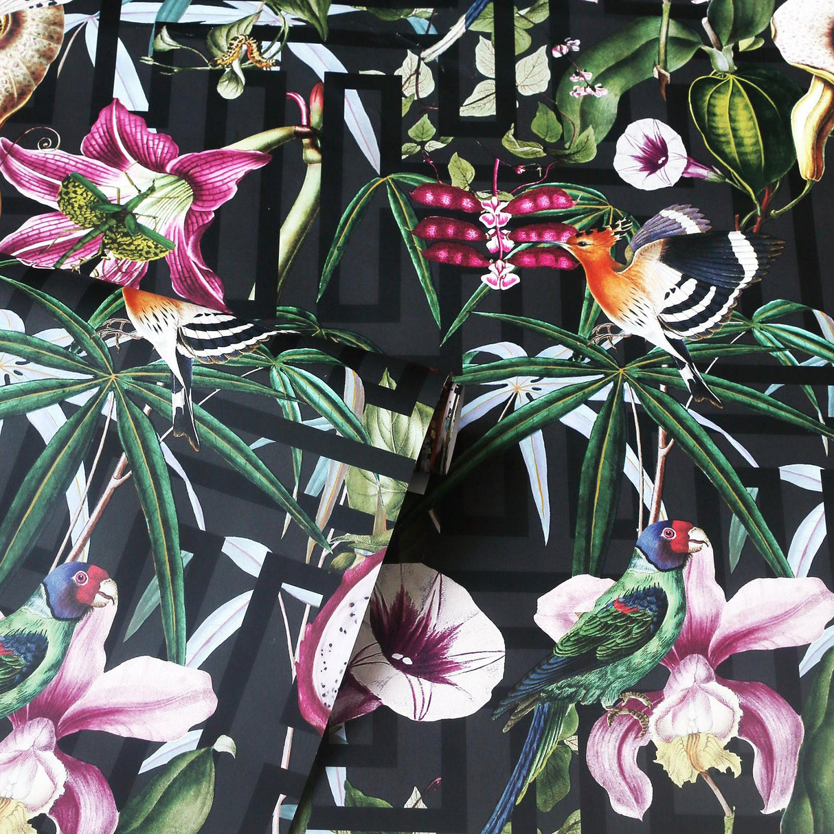 York Lucretia Multicolor Tropical Wallpaper