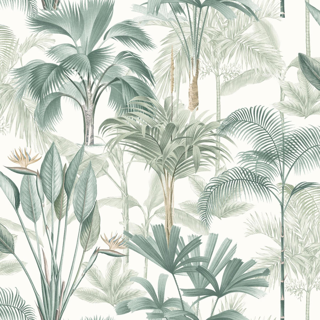 York Freda Green Palm Trees Wallpaper