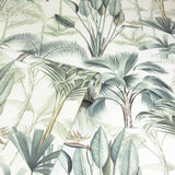 York Freda Green Palm Trees Wallpaper