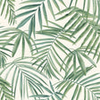 York Juan Green Palm Leaves Wallpaper
