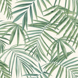 York Juan Green Palm Leaves Wallpaper