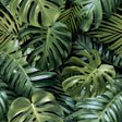 York Harlynn Green Monstera Wallpaper