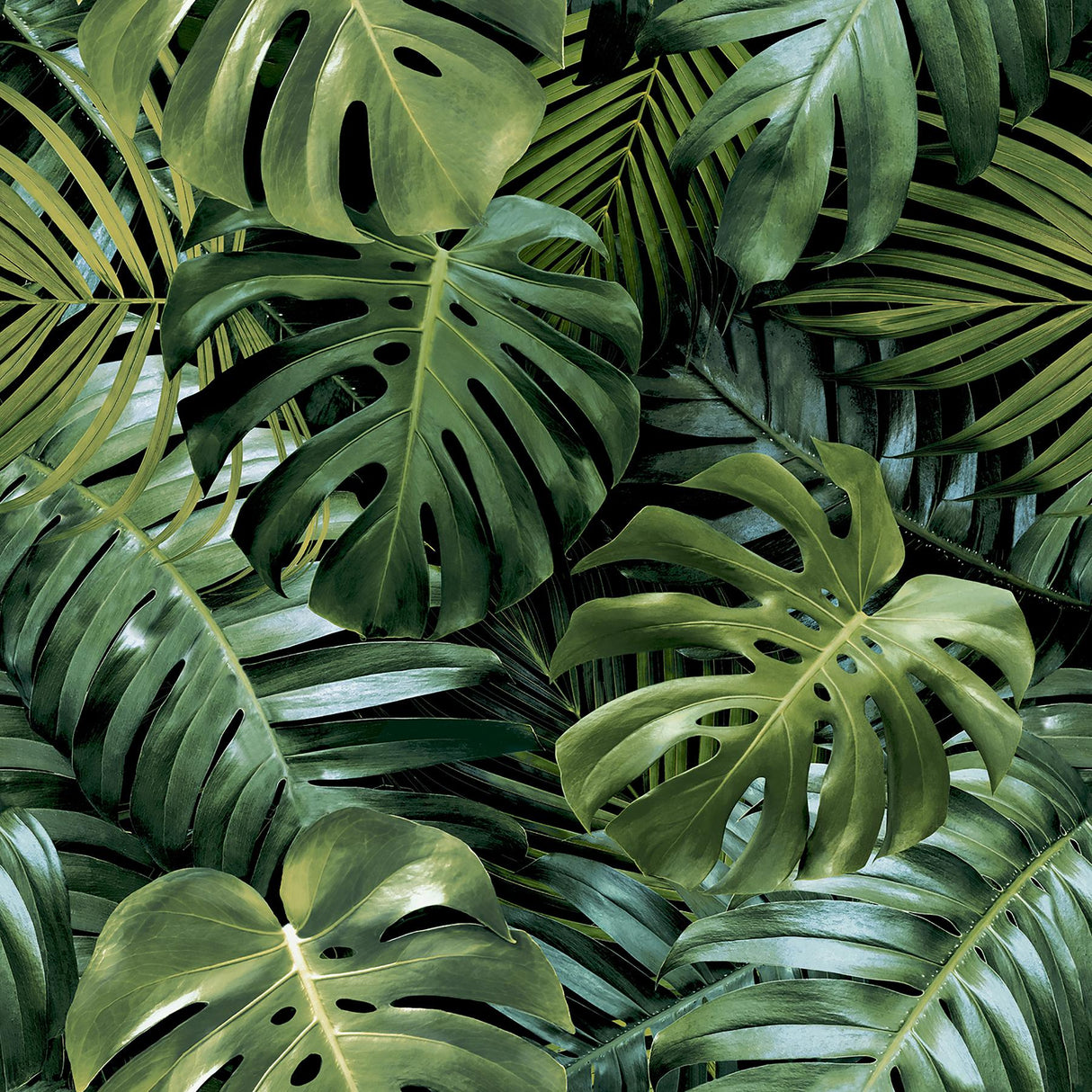 York Harlynn Green Monstera Wallpaper