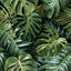 York Harlynn Green Monstera Wallpaper