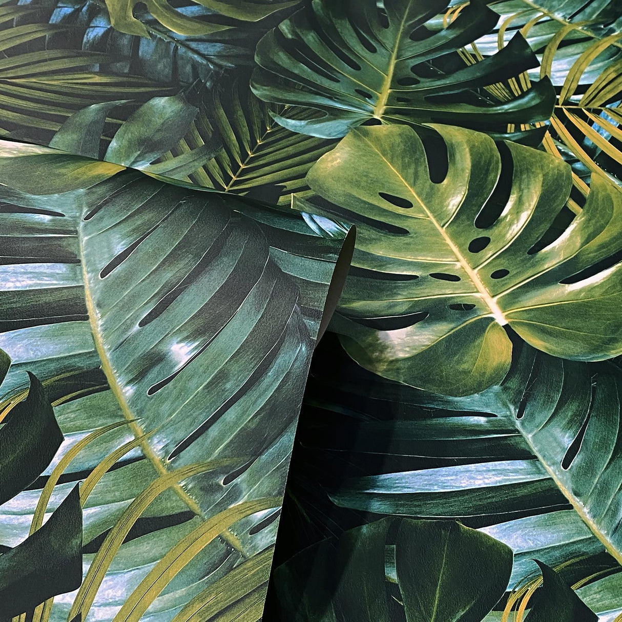York Harlynn Green Monstera Wallpaper