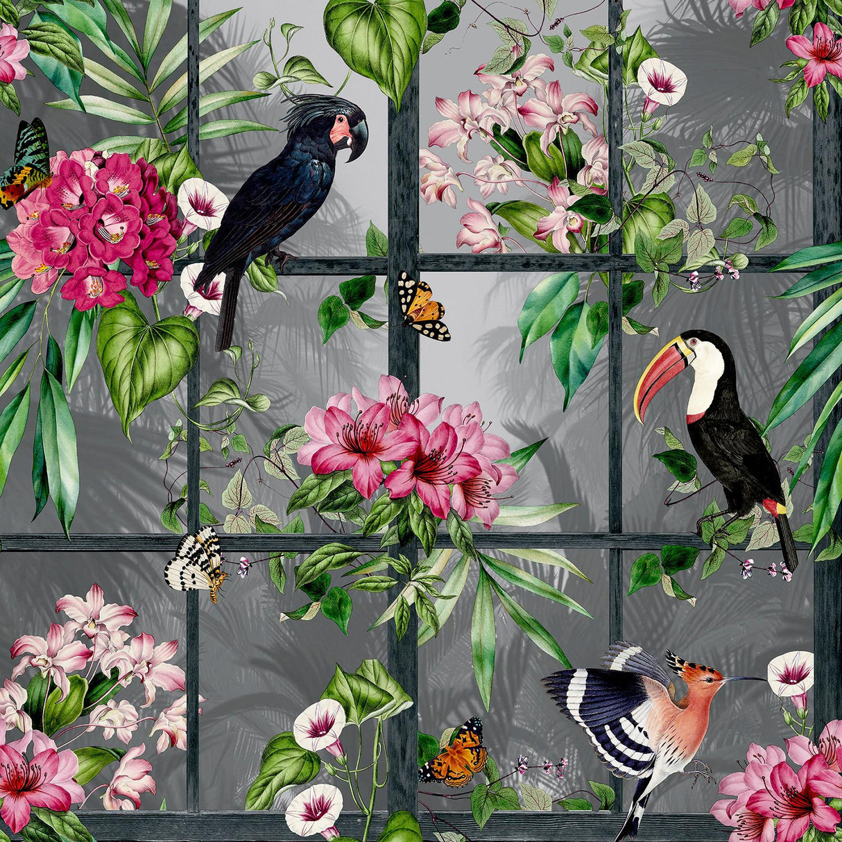 York Dorothea Multicolor Tropical Birds Wallpaper