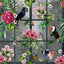 York Dorothea Multicolor Tropical Birds Wallpaper