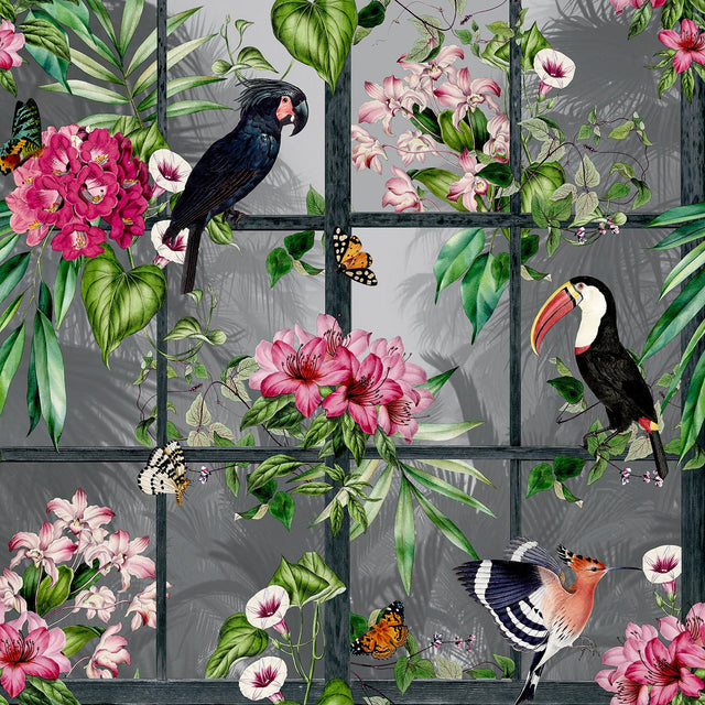 York Dorothea Multicolor Tropical Birds Wallpaper