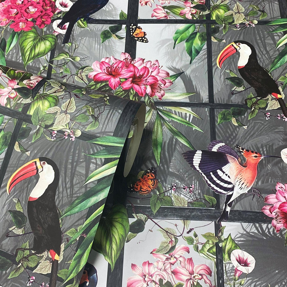 York Dorothea Multicolor Tropical Birds Wallpaper