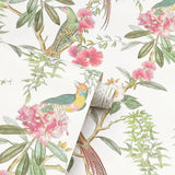 York Celine Pink Courtyard Garden Wallpaper