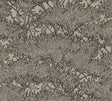 York Hornbeam Brown Tree Wallpaper