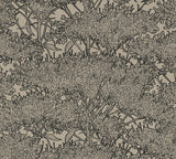 York Hornbeam Brown Tree Wallpaper