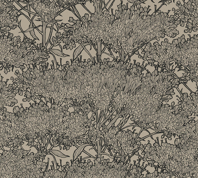 York Hornbeam Brown Tree Wallpaper