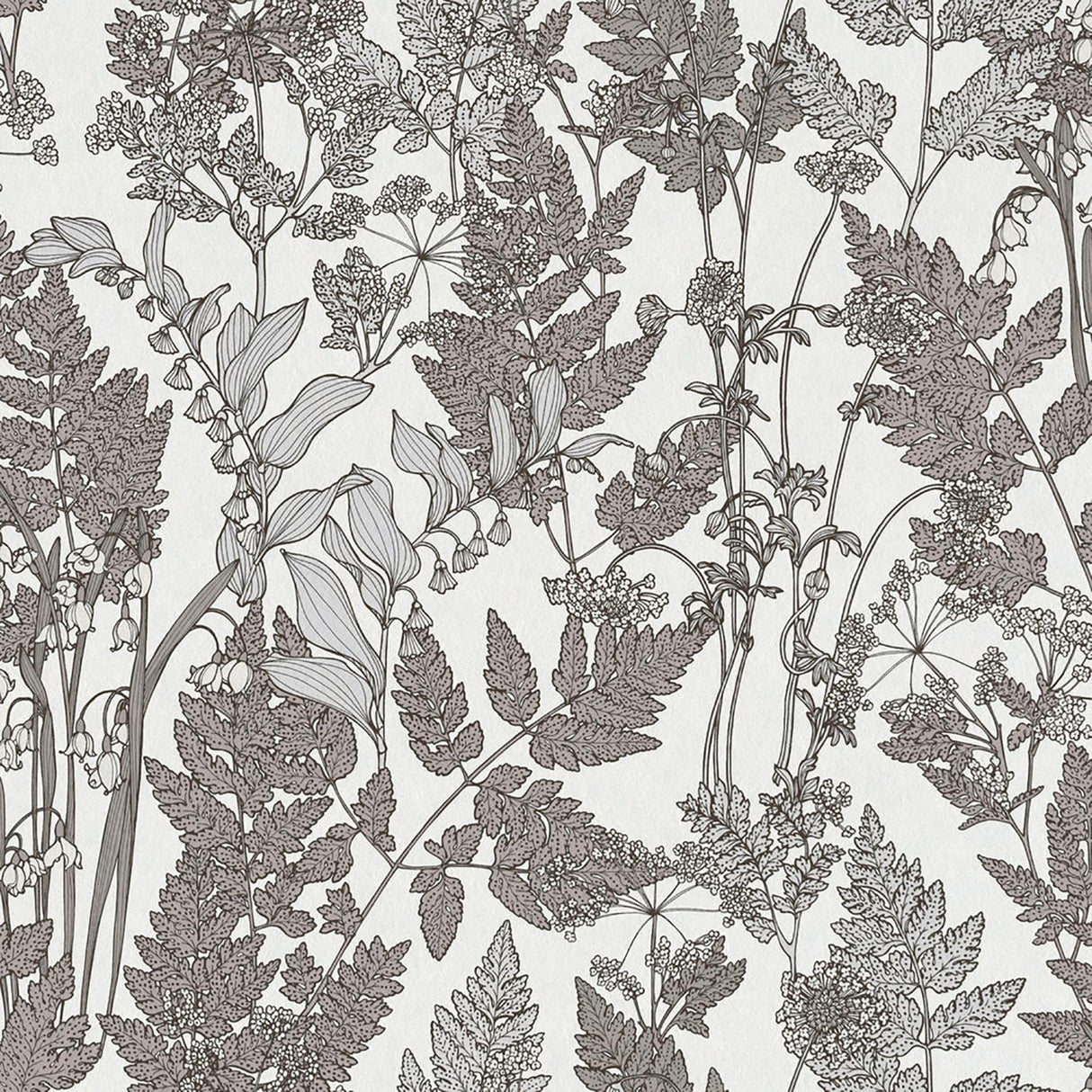 York Ayla Light Grey Wildflowers Wallpaper