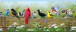 York Clarence Green Songbird Menagerie Portrait Border