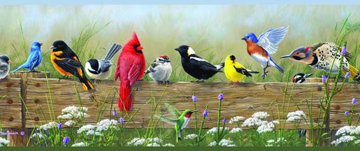 York Clarence Green Songbird Menagerie Portrait Border