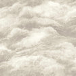 York Nimbostratus Ash Cloud Wallpaper