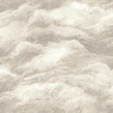 York Nimbostratus Ash Cloud Wallpaper