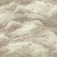 York Nimbostratus Neutral Cloud Wallpaper