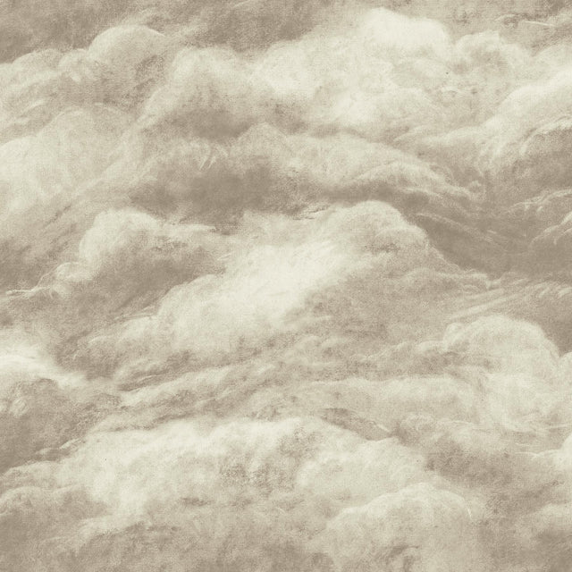 York Nimbostratus Neutral Cloud Wallpaper