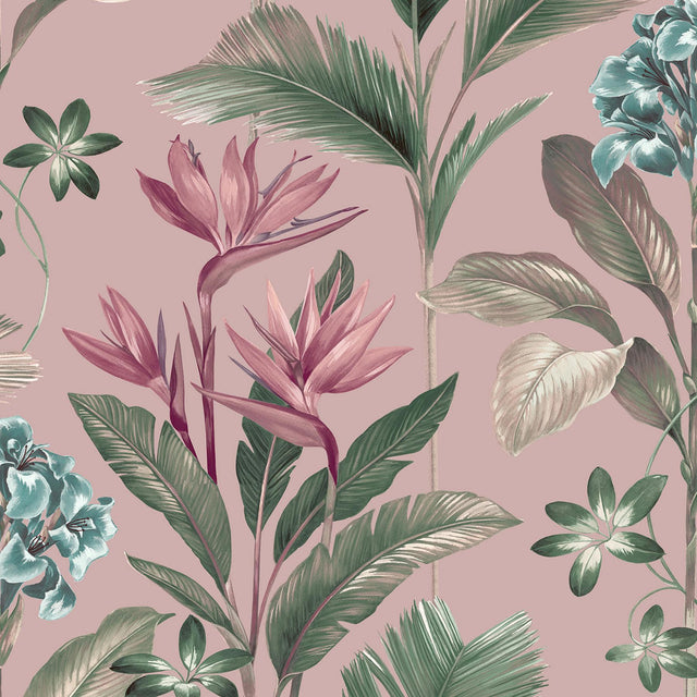 York Oliana Pink Floral Wallpaper