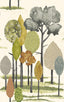 York Cypress Olive Tall Trees Wallpaper