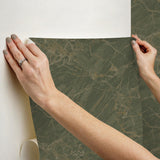 York Jade Jasper Peel & Stick Wallpaper