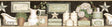 York Martha Black Country Bath Border