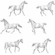 York Burnett Off-White Horses Wallpaper