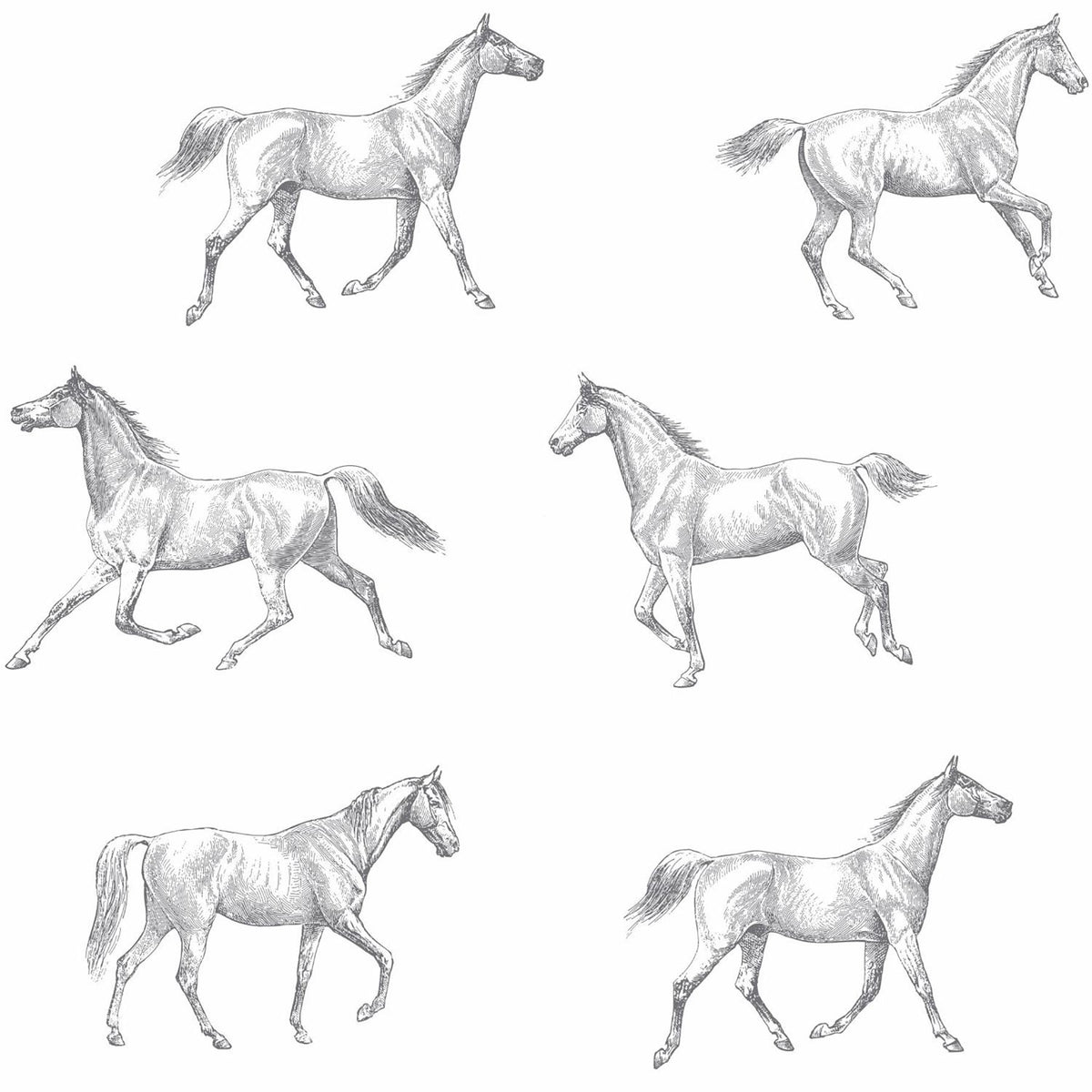 York Burnett Off-White Horses Wallpaper