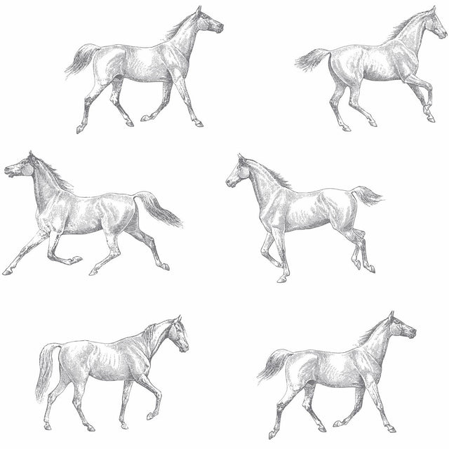 York Burnett Off-White Horses Wallpaper