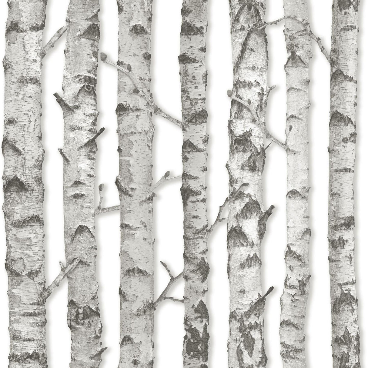 York Merman Light Grey Birch Tree Wallpaper