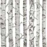 York Merman Light Grey Birch Tree Wallpaper