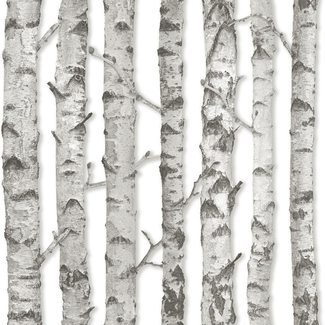 York Merman Light Grey Birch Tree Wallpaper