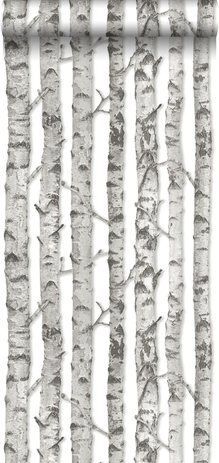 York Merman Light Grey Birch Tree Wallpaper