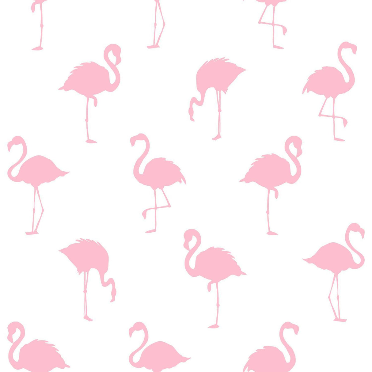 York Lovett Pink Flamingo Wallpaper