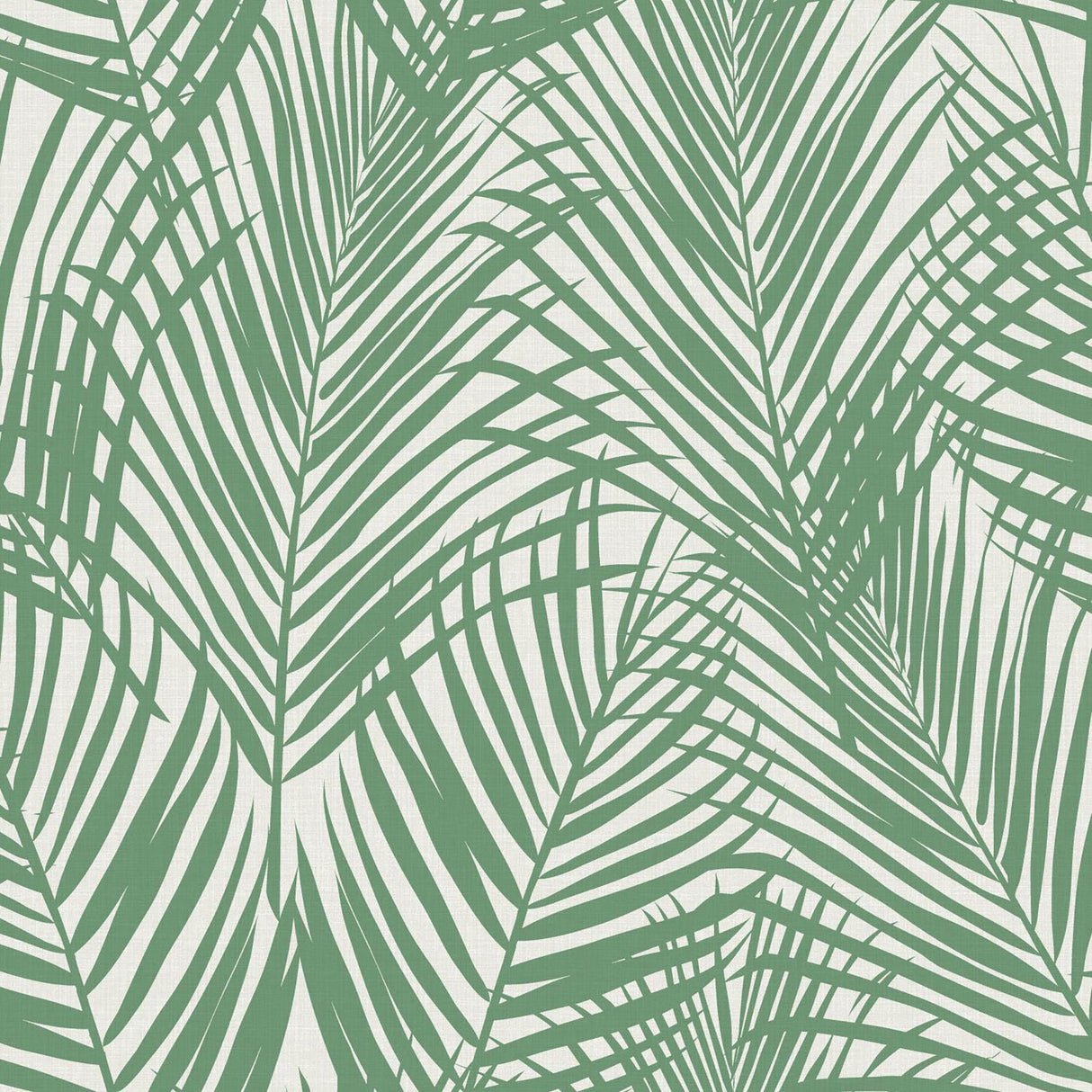 York Fifi Green Palm Frond Wallpaper