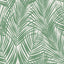 York Fifi Green Palm Frond Wallpaper