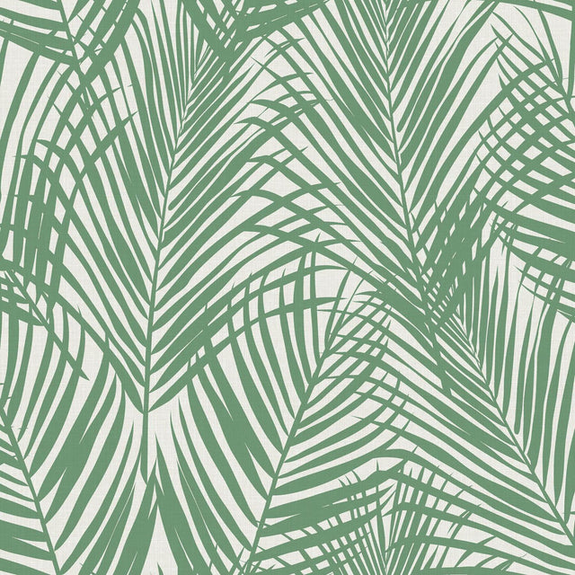 York Fifi Green Palm Frond Wallpaper