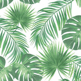 York Patti Light Green Leaves Wallpaper