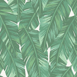 York Dumott Green Tropical Leaves Wallpaper