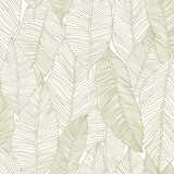 York Canales White Gold Inked Leaves Wallpaper